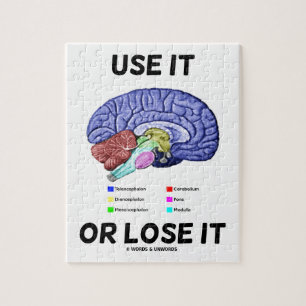 Use It Or Lose It (Anatomical Brain Advice) ジグソーパズル