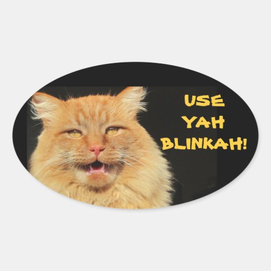 Use Yah Blinkah Says Boston Kittah 楕円形シール (正面)