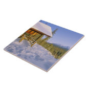 USFSシュナウスキャビンレンタルインウィンターオーベロッキング タイル (側面)