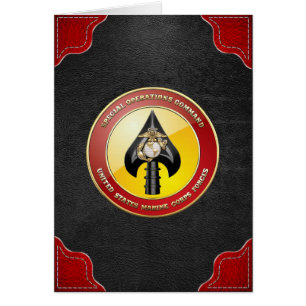 USMCの特殊作戦部隊(MARSOC) [3D]