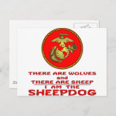USMCオオカミがいて、羊がいる ポストカード (正面/裏面)