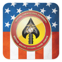 USMC特殊操作コマンド(MARSOC) [3D]