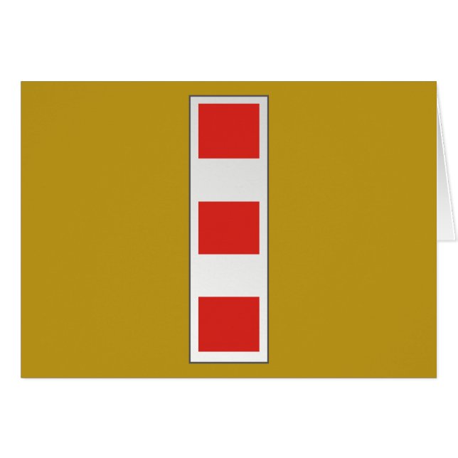 USMC CWO4の海軍兵曹長4 W-4 (正面横)