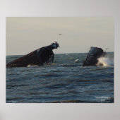 USSアトランタスコンクリート難破船 ポスター (正面)