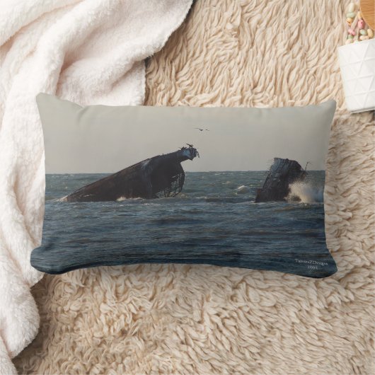 USS Atlantus Concrete Shipresck、NJピロー ランバークッション (ブランケット)