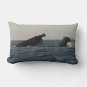 USS Atlantus Concrete Shipresck、NJピロー ランバークッション (正面)