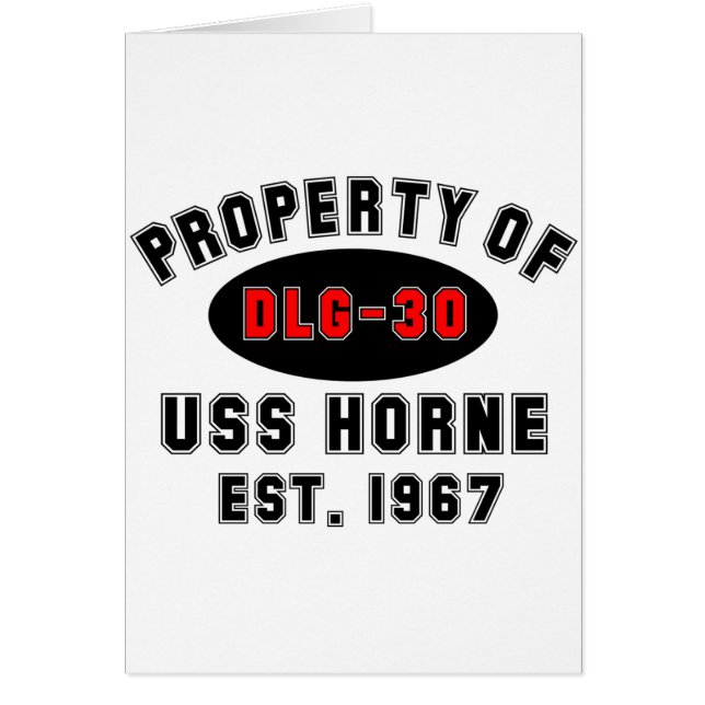USS Horne DLG-30 (正面)