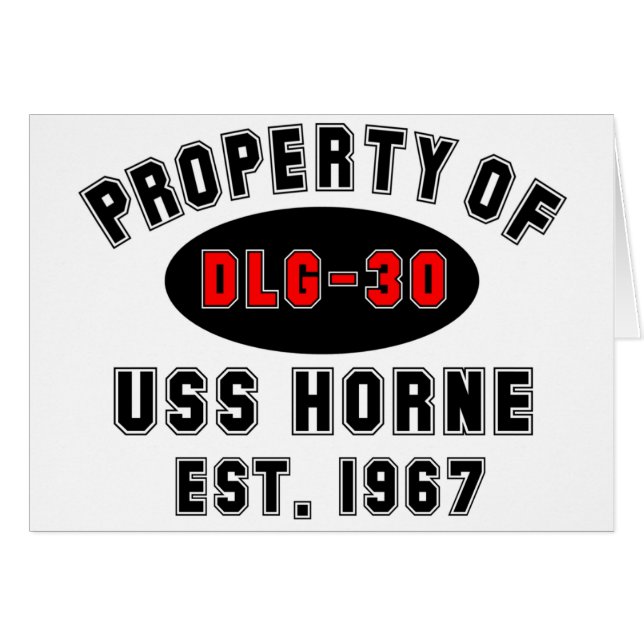 USS Horne DLG-30 (正面横)