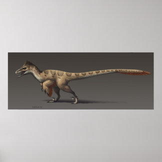 Utahraptor ポスター