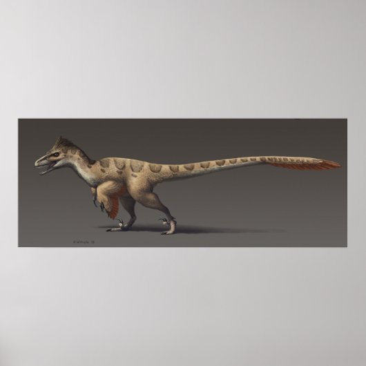Utahraptor ポスター (正面)