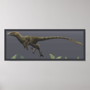 Utahraptor Print ポスター