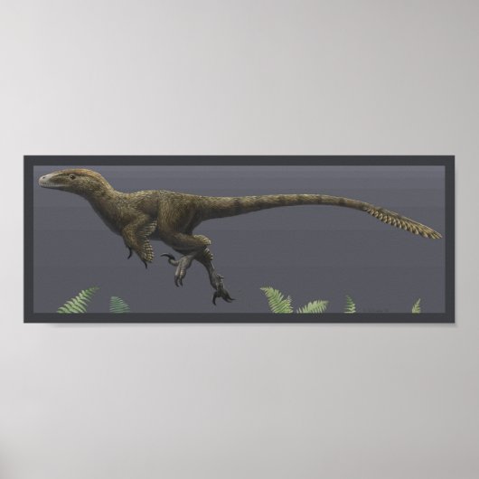 Utahraptor Print ポスター (正面)