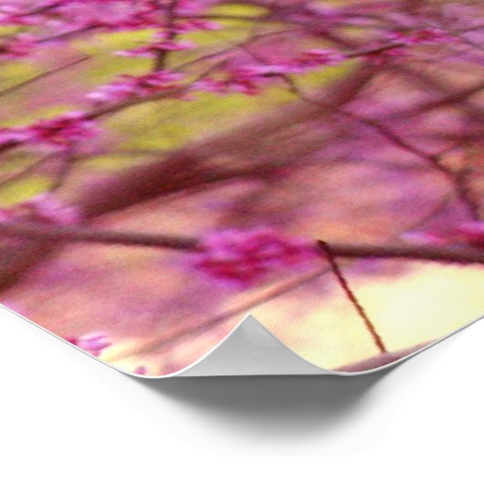 UVAのランプ ポスター (角)