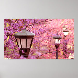 UVAのランプ ポスター