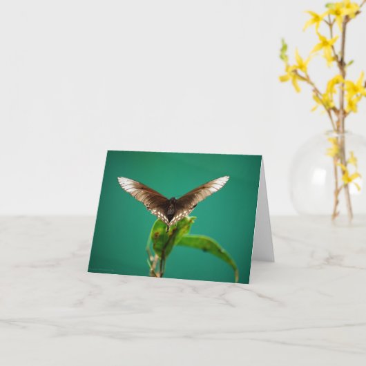 Vカード カード (黄色い花)