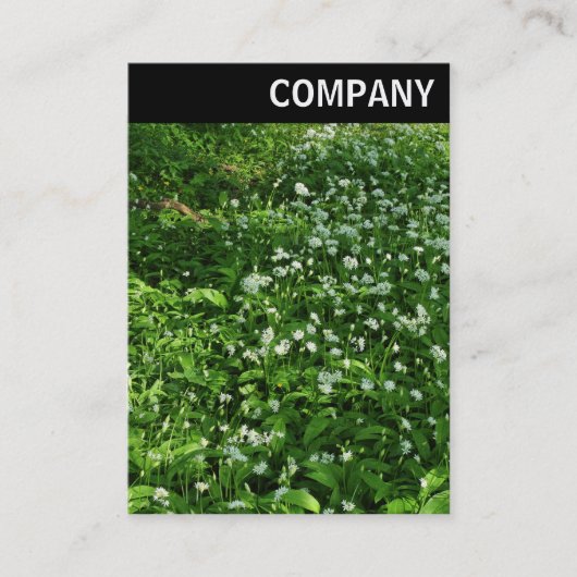 Vヘッダー – ウッドランド花 名刺 (正面)