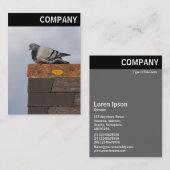 Vヘッダー – グッドモーニングハト 名刺 (正面/裏面)