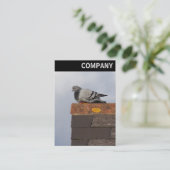 Vヘッダー – グッドモーニングハト 名刺 (スタンド正面)