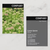 Vヘッダー – セダム(秋の喜び) 名刺 (正面/裏面)