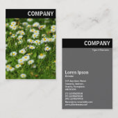 Vヘッダー – デイジー草原 名刺 (正面/裏面)