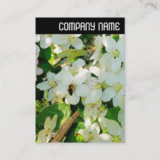 Vヘッダー-ハチミツの作成 名刺 (正面)