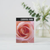 Vヘッダー – ピンクロース 名刺 (スタンド正面)