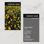 Vヘッダー – 写真 – Crocses 名刺 (正面/裏面)