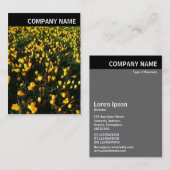 Vヘッダー – 写真 – Crocses 名刺 (正面/裏面)