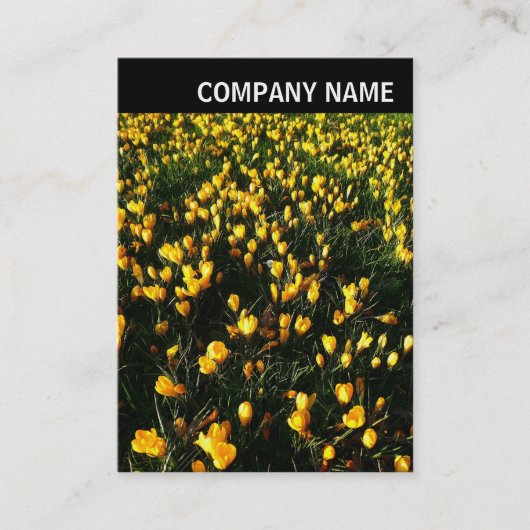 Vヘッダー – 写真 – Crocses 名刺 (正面)