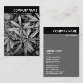 Vヘッダー – 写真 – Rhododendron葉 名刺 (正面/裏面)