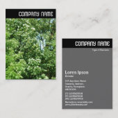 Vヘッダー – 夏風 名刺 (正面/裏面)