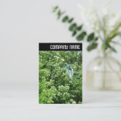 Vヘッダー – 夏風 名刺 (スタンド正面)