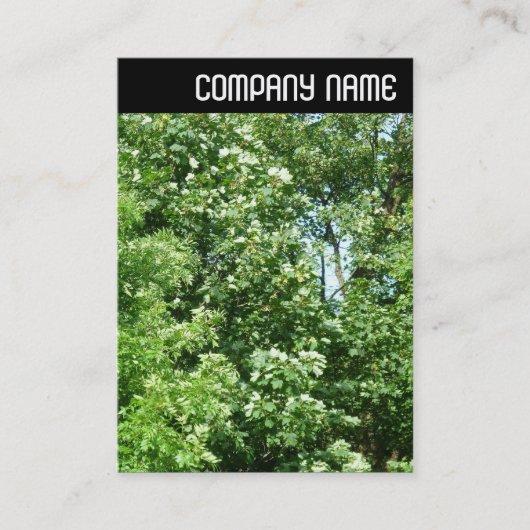 Vヘッダー – 夏風 名刺 (正面)