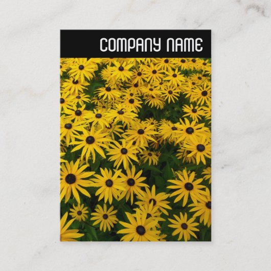 Vヘッダー – 黒い目のサザンズ(Rudbeckia Hirta) 名刺 (正面)