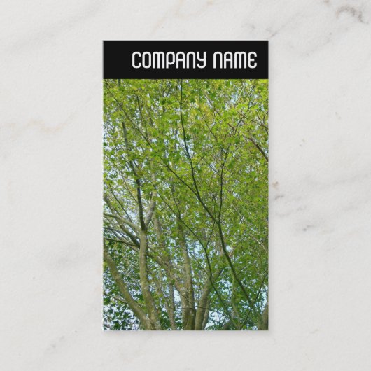 Vヘッダ – メープル日本の型 名刺 (正面)