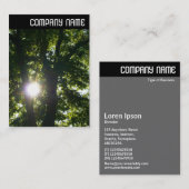 Vヘッダ – 木の間を通る太陽 名刺 (正面/裏面)