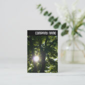 Vヘッダ – 木の間を通る太陽 名刺 (スタンド正面)