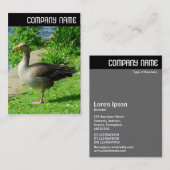 Vヘッダ – Greylag Goose 名刺 (正面/裏面)