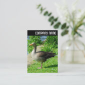 Vヘッダ – Greylag Goose 名刺 (スタンド正面)