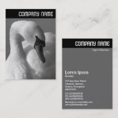 Vヘッダ – Swan B&W 名刺 (正面/裏面)