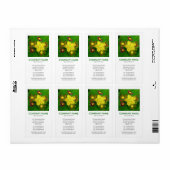 V正方形の写真 – Hypericum perforatum ラベル (フルシート)