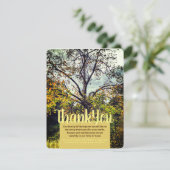 V1秋の色のツリーサンキューカード 招待状 (スタンド正面)