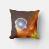 V407シグニの白色矮星 クッション (正面)