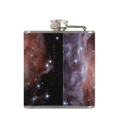 V838 Monocerotis Red Supergiant Starハッブル写真 フラスク (裏面)