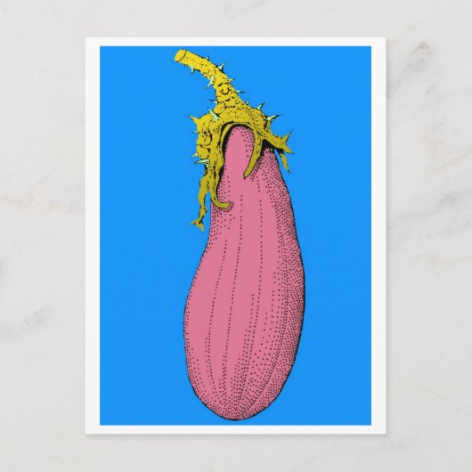 V ポストカード (正面)