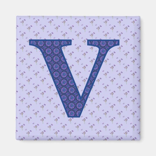 V マグネット (正面)