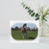 {"V":{"走":[""]},"N":{"ランニング":[""]}}   Clydesdale ポストカード (スタンド正面)