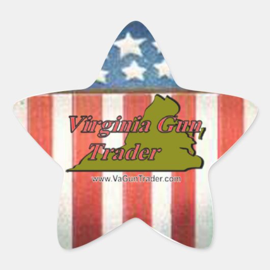 VaGT「スター・ステッカー」 星シール (正面)