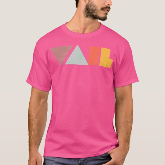 Vailヴィンテージ Tシャツ (正面)