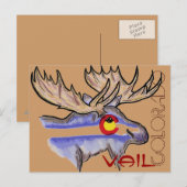 Vail Colorado elkはがき ポストカード (正面/裏面)